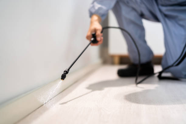 Licensed Mosquito Control service in Atchison, KS - Show Me Pest Control