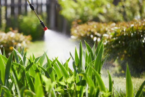 24/7 Emergency Mosquito Control experts in Atchison, KS