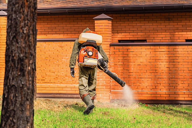 Top rated local Mosquito Control specialists in Atchison, KS